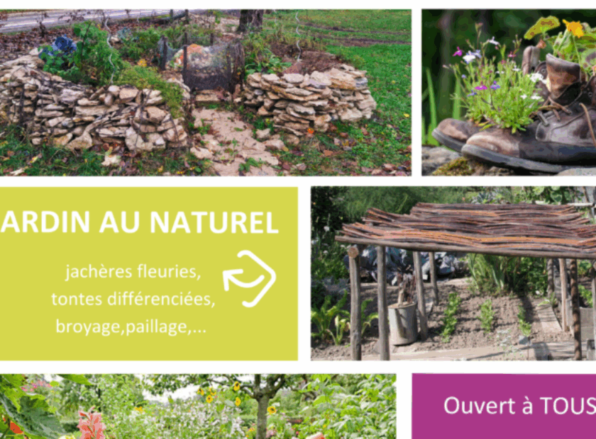 Affiche-concours-photos-2024-700×465