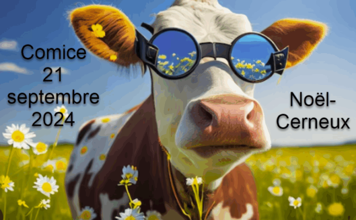 Comice-2024-noel-cerneux