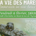 Conférence la vie des mares