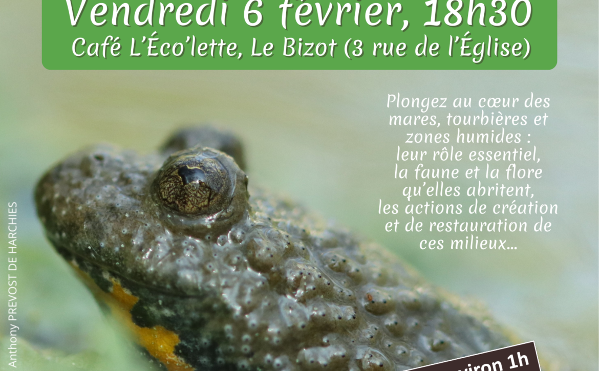 affiche_conference-zones-humides