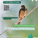 Les hirondelles du Doubs Horloger