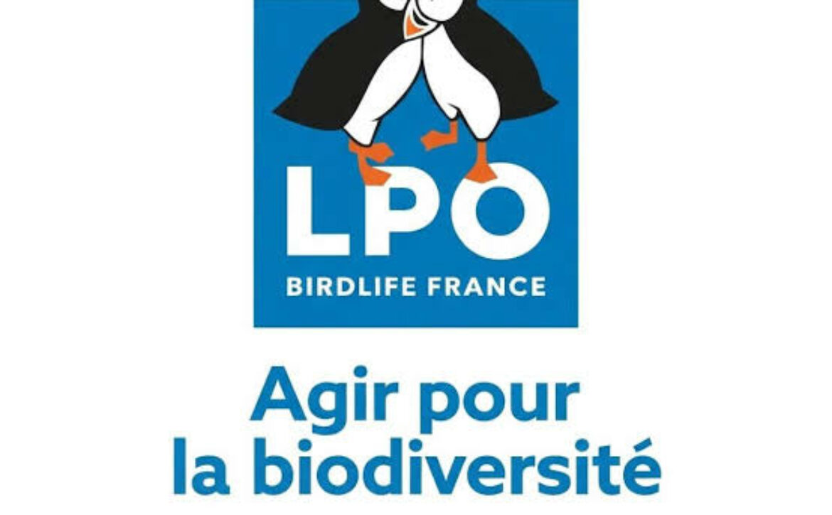 logo lpo