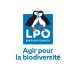 Avis de recherche !