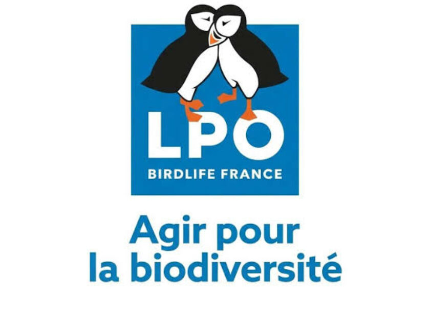 logo lpo