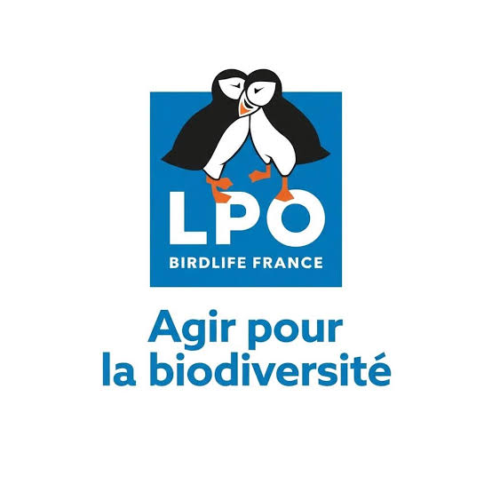 logo lpo