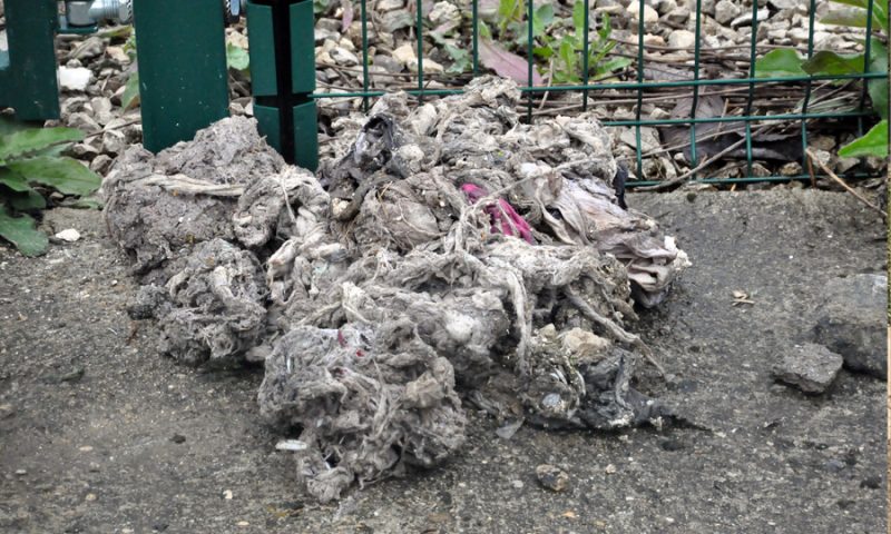 Lingette-station-epuration